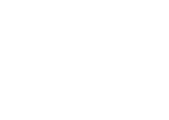 Robexa